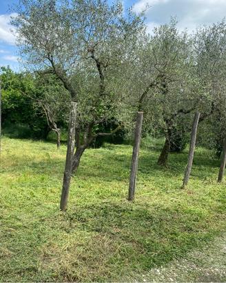 Terreno agricolo 4500m