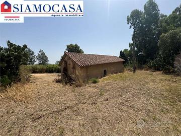 Ampio terreno con diversi ricoveri attrezzi
