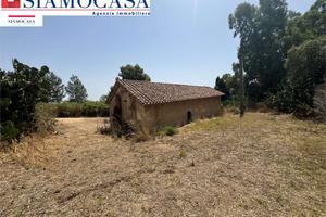 Ampio terreno con diversi ricoveri attrezzi