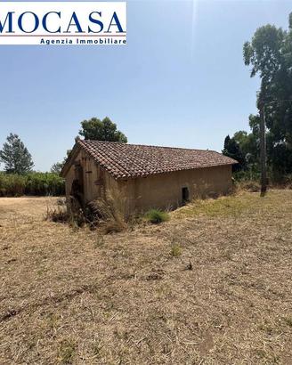 Ampio terreno con diversi ricoveri attrezzi