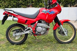 Honda Dominator Nx650 rd02