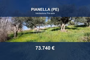 Immobile in asta di 41362 m² a Pianella