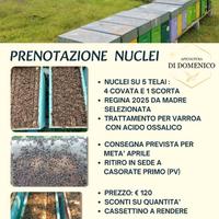 Nuclei