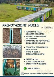 Nuclei