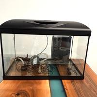 Acquario