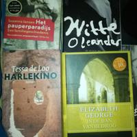 libri in lingua olandese ( dutch boek )