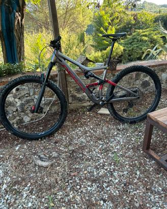 Orbea Occam