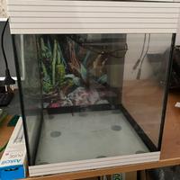 Acquario askoll pure m