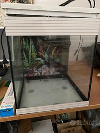 Acquario askoll pure m