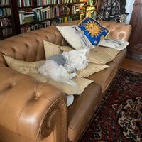 divano in pelle chesterfield