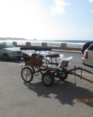 Carrozza da passeggio