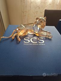 Swarovski SCS 2016 leonessa 