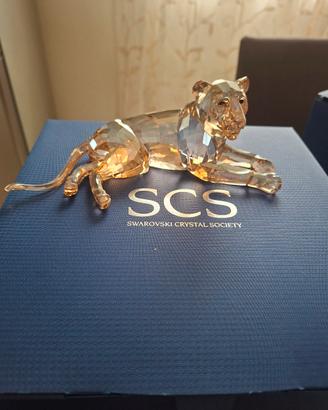 Swarovski SCS 2016 leonessa 
