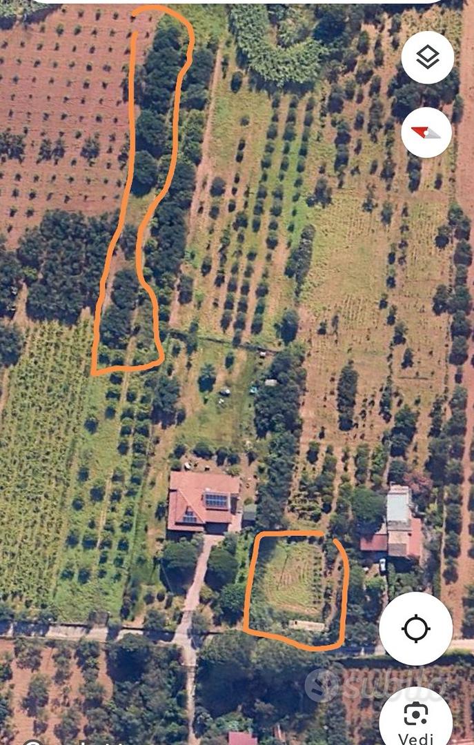 Terreno agricolo Partinico Contrada Bosco Falconer - Vista 2