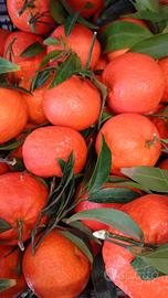 FRUTTERIA E GENERI ALIMENTARI 