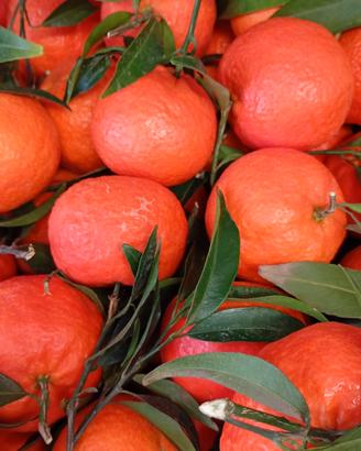 FRUTTERIA E GENERI ALIMENTARI 