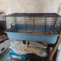 Contenitore vetro resina e gabbia animali