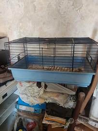 Contenitore vetro resina e gabbia animali