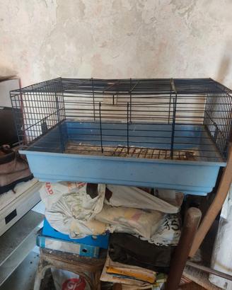 Contenitore vetro resina e gabbia animali