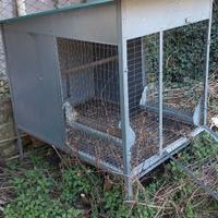 Casetta per galline