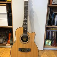 Chitarra 12 corde