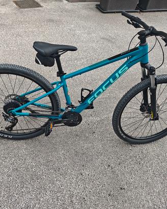 MTB Focus 