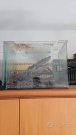 Acquario