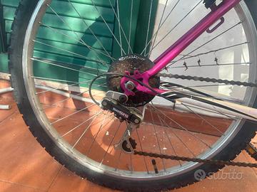 bici 26