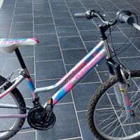 Bicicletta