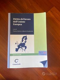 Diritto del lavoro dell’Unione Europea Giampicheli
