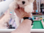 Immagine 5