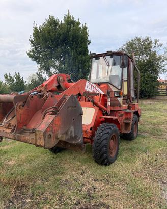 Escavatore/ pala gommata