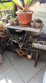 bici porta fiori