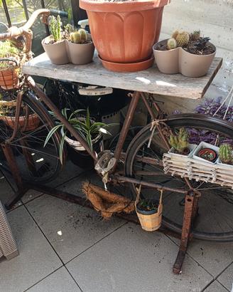 bici porta fiori