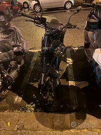 Benelli leoncino 500 trail