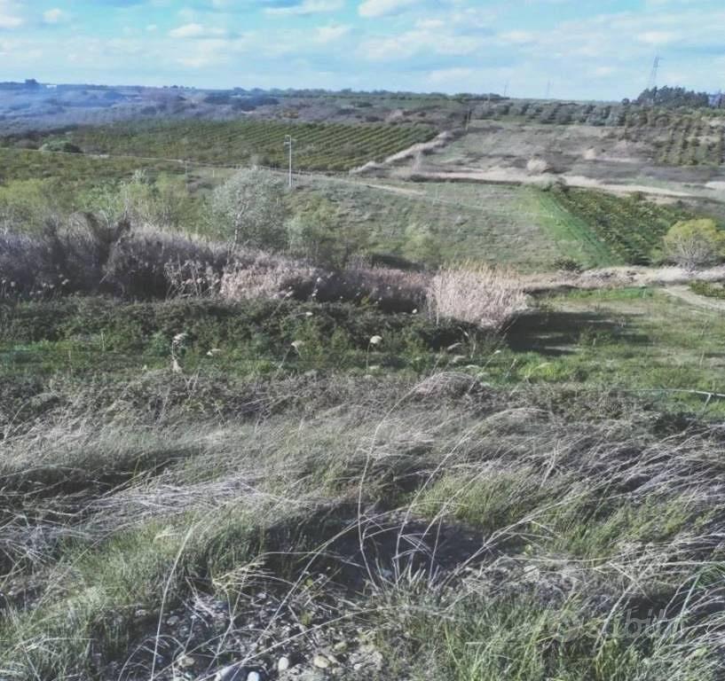 Immobile in asta di 35921 m² a Scanzano Jonico - Vista 4