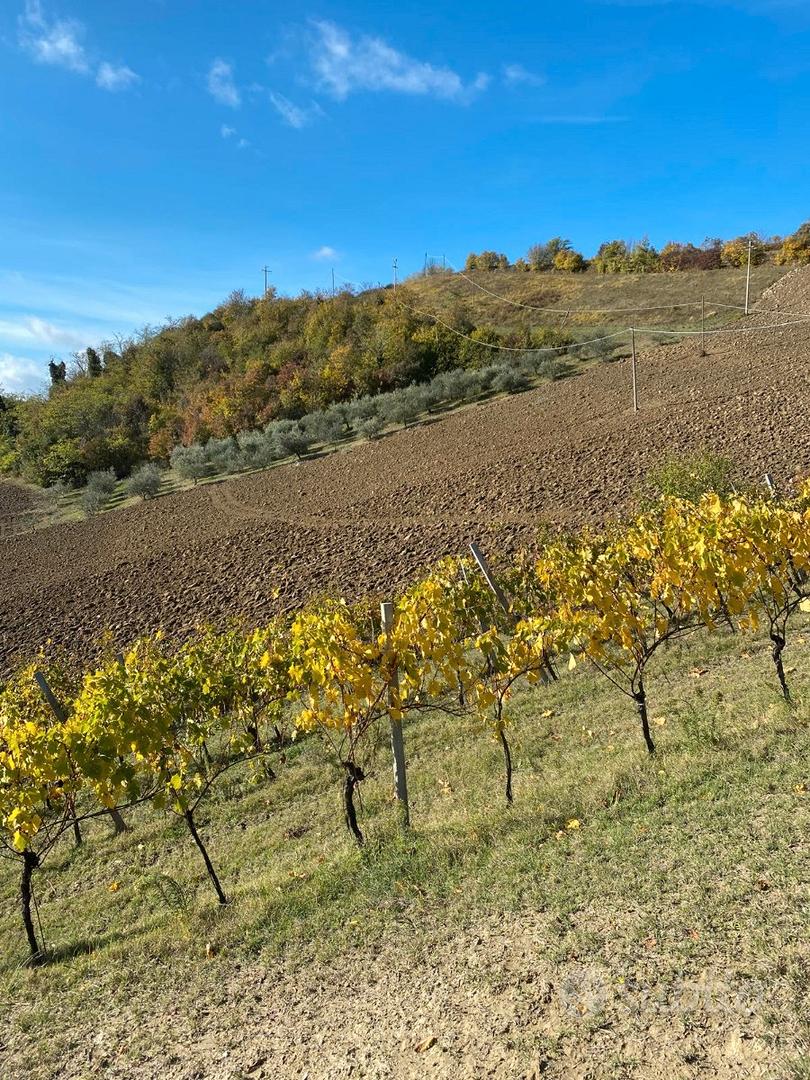 Il silenzio - Vista 2