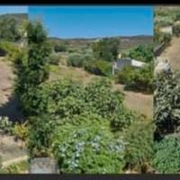 Terreni e casa quote di eredità