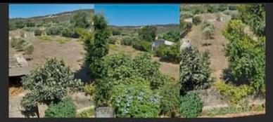 Terreni e casa quote di eredità