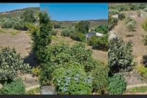 Terreni e casa quote di eredità