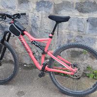 Mountain bike Specializzed Stupjumper