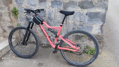 Mountain bike Specializzed Stupjumper