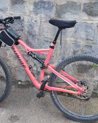 Mountain bike Specializzed Stupjumper