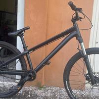 Bici freestyle
