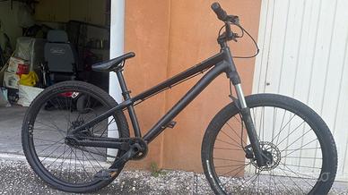 Bici freestyle