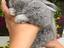 Immagine 1