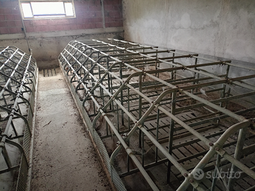 Box per allevamento maiali