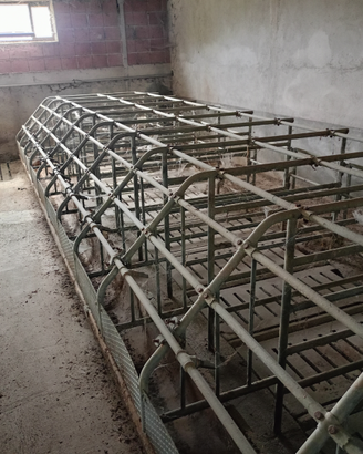 Box per allevamento maiali