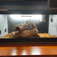 Terrario per rettili in legno