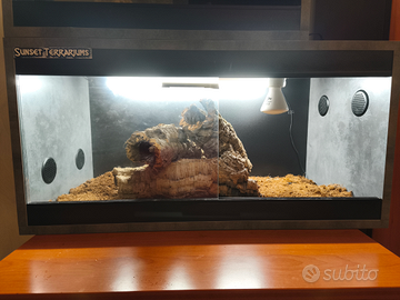 Terrario per rettili in legno